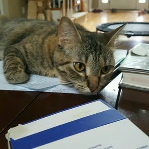 Meet your Posher, Joyc